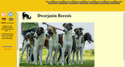 Desktop Screenshot of dworjanin.ch